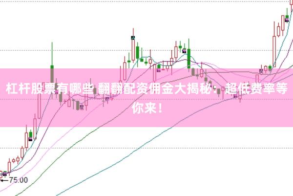杠杆股票有哪些 翻翻配资佣金大揭秘：超低费率等你来！