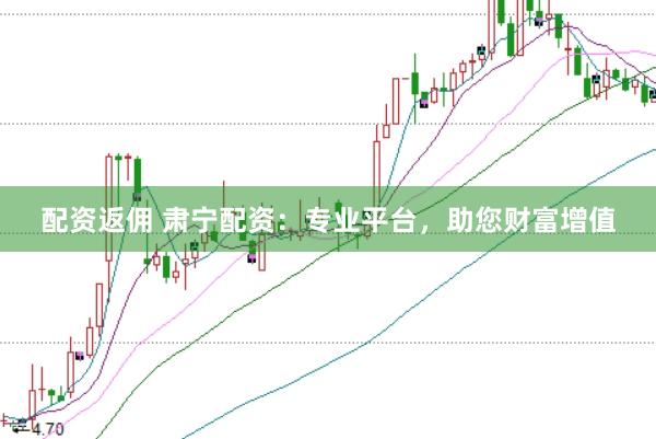 配资返佣 肃宁配资：专业平台，助您财富增值