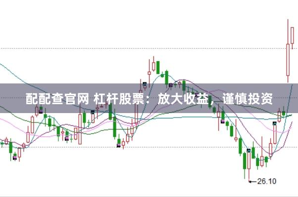 配配查官网 杠杆股票：放大收益，谨慎投资