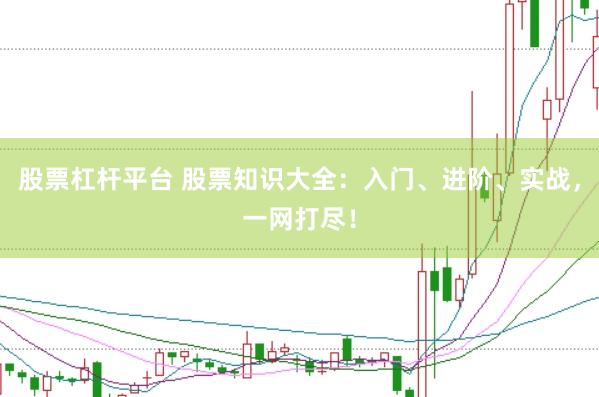 股票杠杆平台 股票知识大全：入门、进阶、实战，一网打尽！