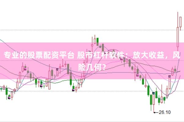 专业的股票配资平台 股市杠杆软件：放大收益，风险几何？