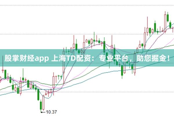 股掌财经app 上海TD配资：专业平台，助您掘金！