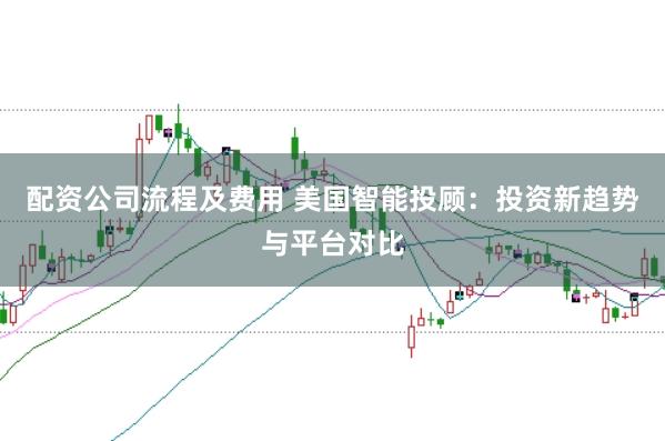 配资公司流程及费用 美国智能投顾：投资新趋势与平台对比