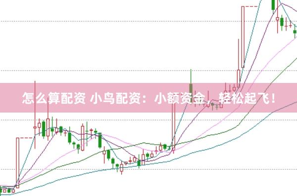 怎么算配资 小鸟配资：小额资金，轻松起飞！