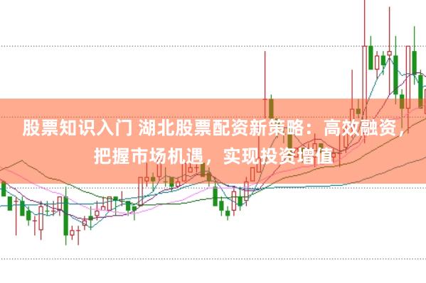 股票知识入门 湖北股票配资新策略：高效融资，把握市场机遇，实现投资增值