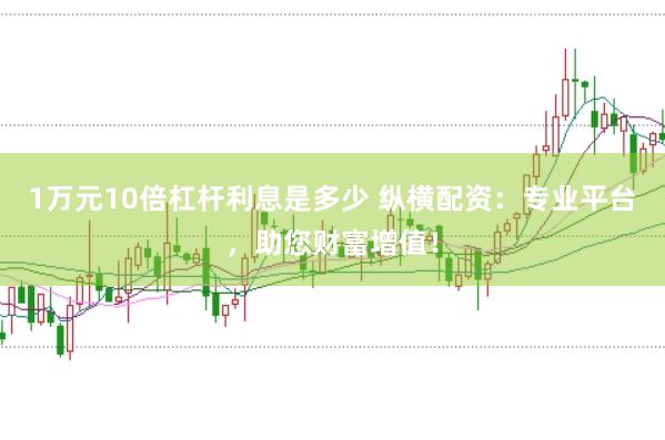 1万元10倍杠杆利息是多少 纵横配资：专业平台，助您财富增值！