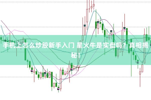 手机上怎么炒股新手入门 星火牛是实盘吗？真相揭秘！