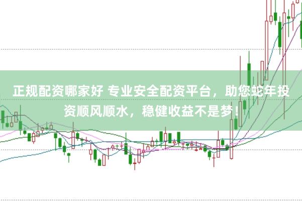 正规配资哪家好 专业安全配资平台，助您蛇年投资顺风顺水，稳健收益不是梦！