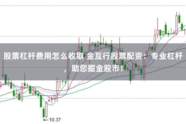 股票杠杆费用怎么收取 金互行股票配资：专业杠杆，助您掘金股市！